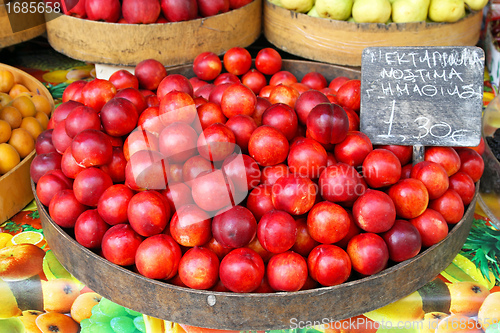 Image of Nectarines