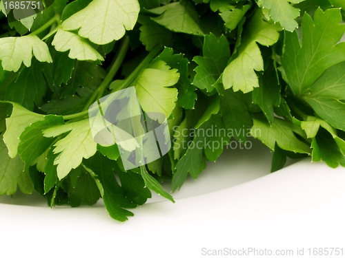 Image of Parsley