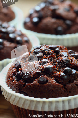 Image of Chocolate Chip Muffin