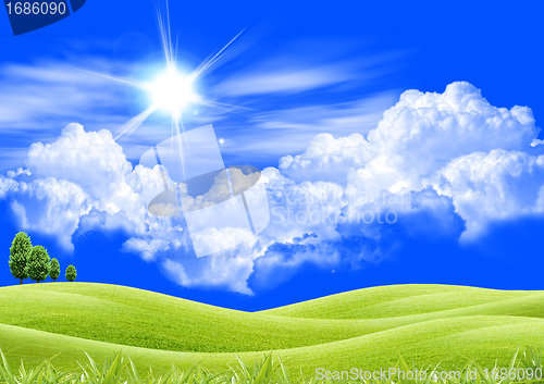 Image of Green wheat field, white clouds, blue sky