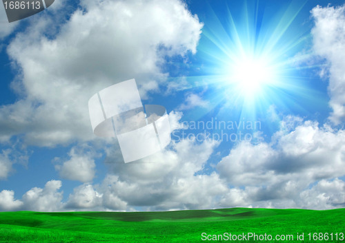 Image of field and sky