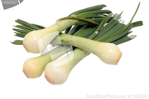 Image of onions