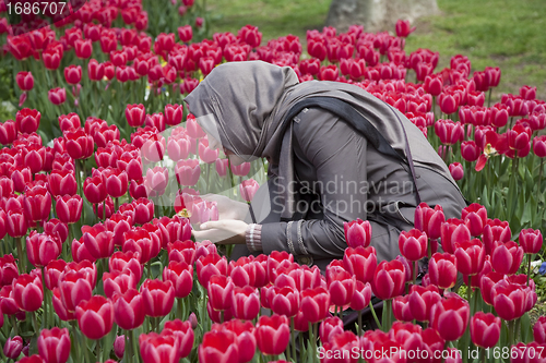 Image of Muslim girl among tulips