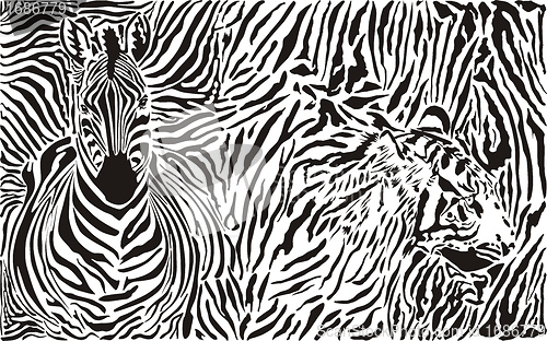 Image of Zebra and tiger and pattern background