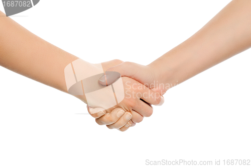 Image of Two shaking hands.