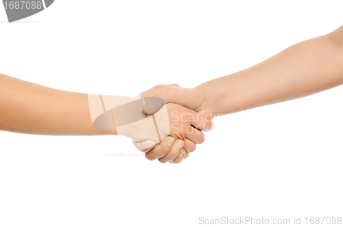 Image of Two shaking hands.