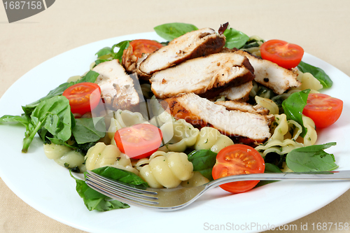 Image of Grilled chicken and pasta salad