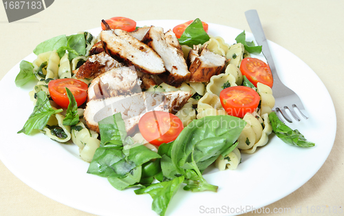 Image of Grilled chicken and pasta salad side view