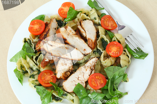 Image of Grilled chicken and pasta salad high angle