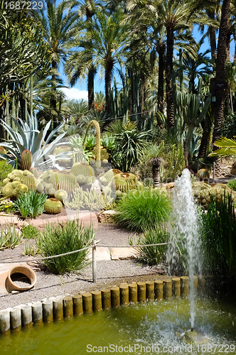 Image of Huerto del Cura garden