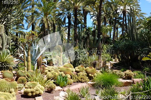 Image of Huerto del Cura garden