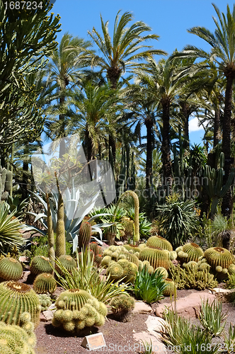 Image of Huerto del Cura garden