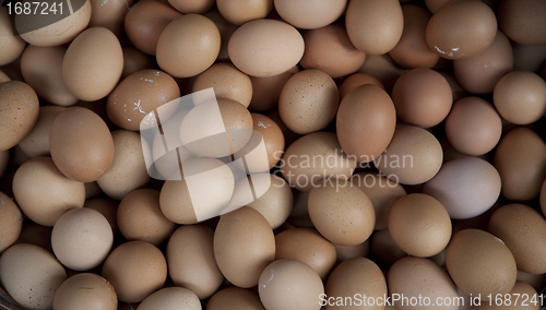 Image of Background of eggs