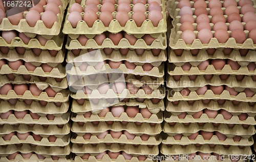 Image of Loads of eggs for sale