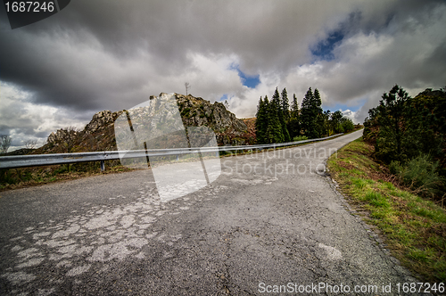 Image of Asphalt road
