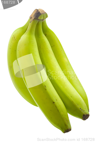 Image of Unripe banana