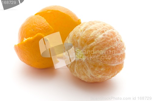 Image of Citrus fruit