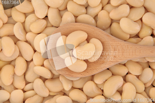 Image of Butter Beans