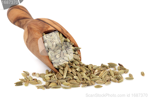 Image of Fennel Seed