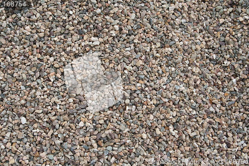 Image of Shingle