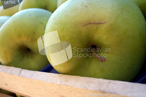 Image of golden apples in case
