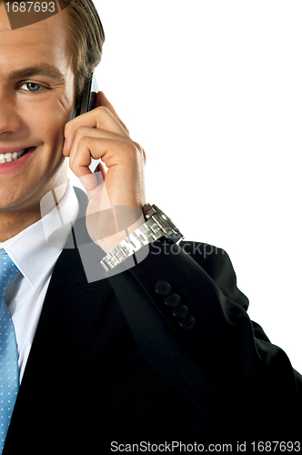 Image of Cropped image of young businessman talking