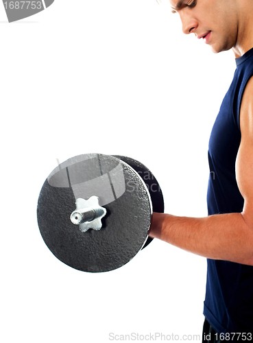 Image of Cropped image of a bodybuilder doing exercise