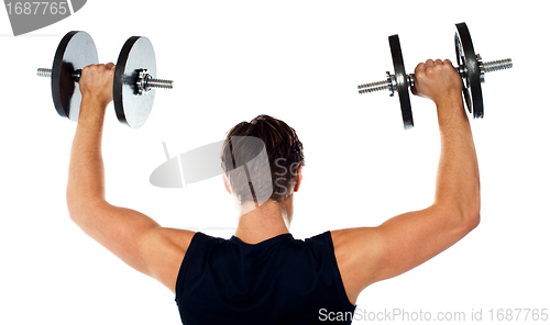 Image of Rear view of a young male bodybuilder