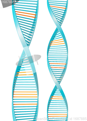 Image of dna