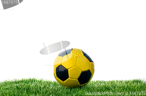 Image of Soccer ball