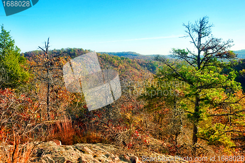 Image of autumn fall forest