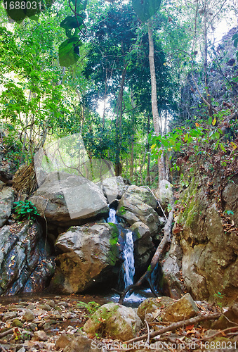 Image of small waterfall in stream