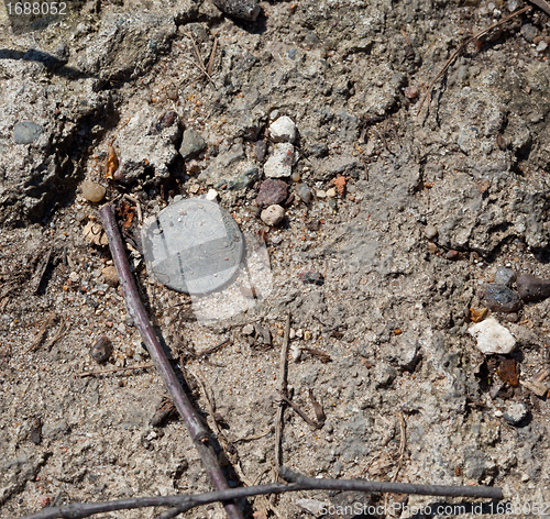 Image of coin on the ground