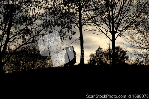 Image of evening walk shadows