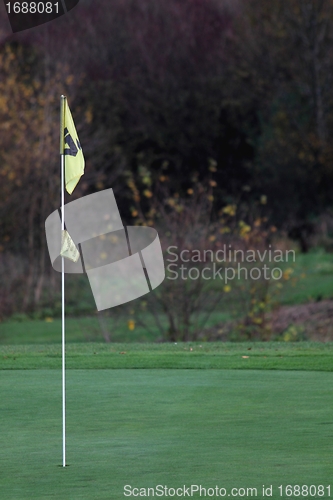Image of golf flag