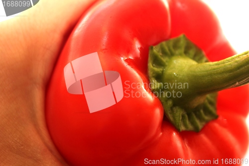 Image of red pepper in hand
