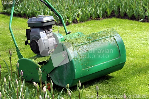 Image of lawn mower in the green