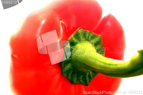 Image of red pepper
