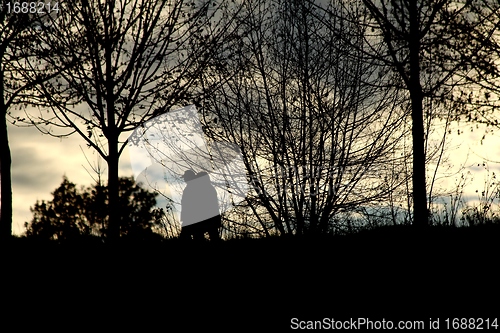 Image of evening walk shadows