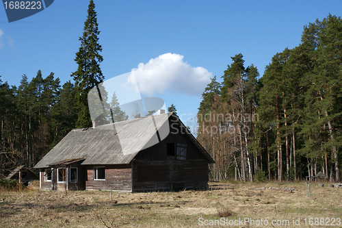 Image of The wooden house