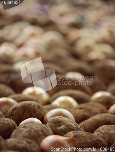 Image of Crop of potatoes and onions