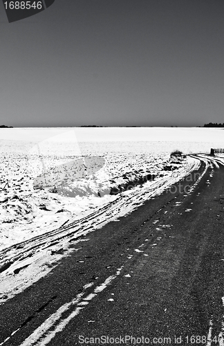 Image of wintertime