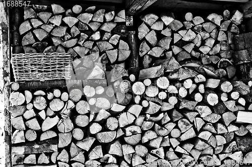 Image of fuel-wood