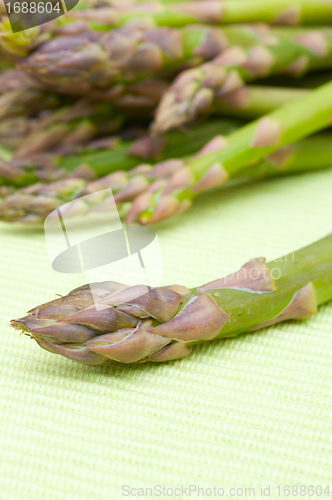 Image of Fresh Asparagus