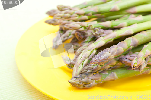 Image of Fresh Asparagus