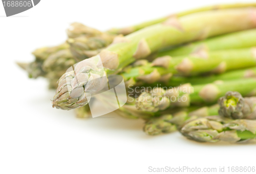 Image of Fresh Asparagus