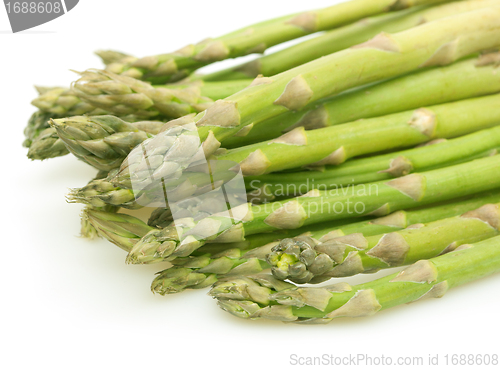 Image of Fresh Asparagus