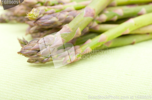 Image of Fresh Asparagus