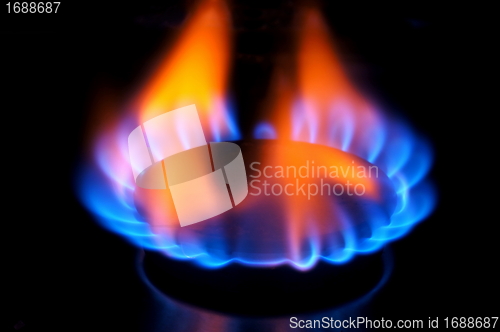 Image of Gas burner flame