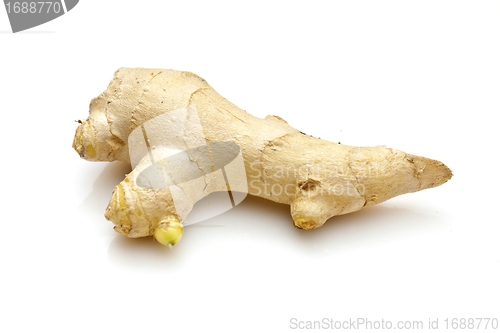 Image of Ginger root isolated on white background